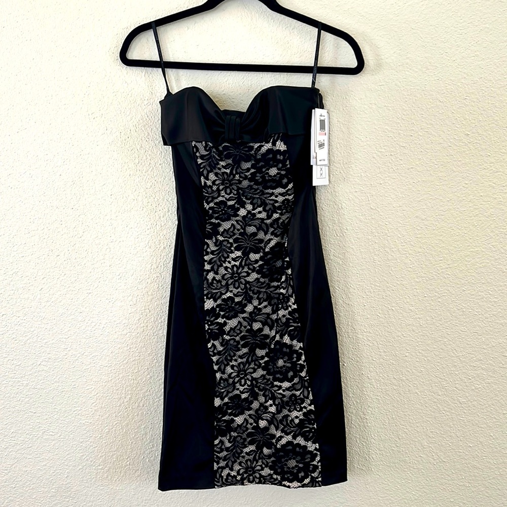 NWT! Scott McClintock Silk and Lace Cocktail Dress (size 6)